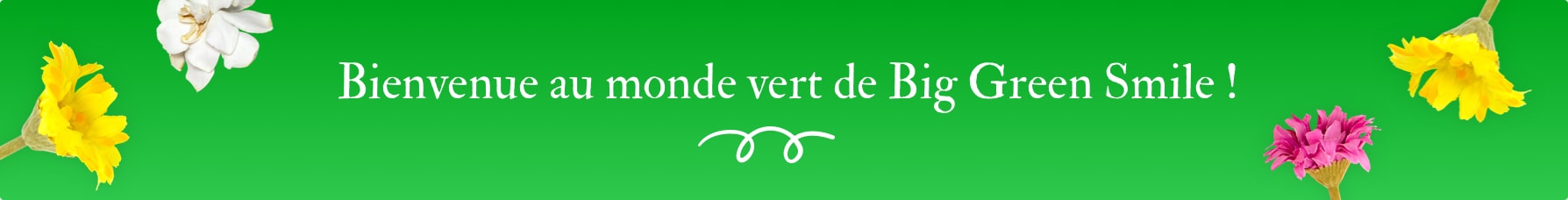 A propos de Big Green Smile A propos de Big Green Smile