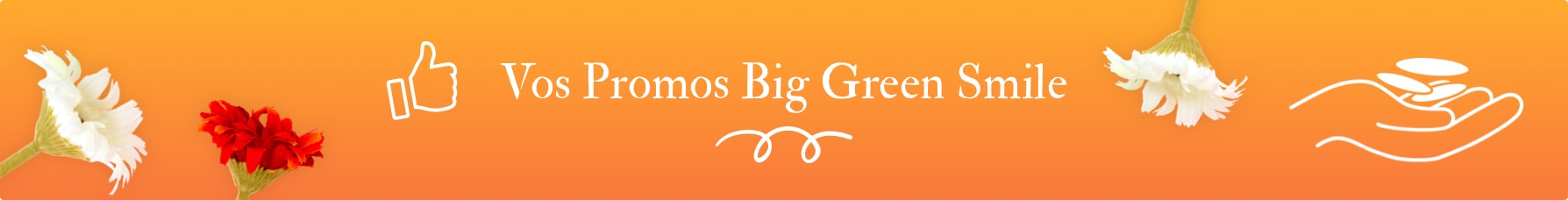 Vos Promos BigGreenSmile FAQ