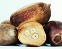 babassu