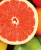 pamplemousse
