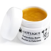 Odylique by Essential Care Baume au Calendula Bio 20 g