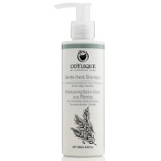 Odylique Shampoing Extra-Doux aux Plantes