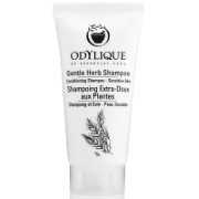 Odylique Shampoing Extra-Doux aux Plantes (format voyage)