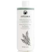 Odylique Shampoing Extra-Doux aux Plantes 2 en 1 (500 ml)