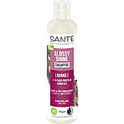 Sante Shampooing Glossy Shine