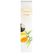 Sodasan Parfum d'Intérieur à l'Orange Recharge