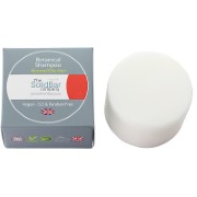 The Solid Bar Company Shampooing Végétal 20 Lavages (Gras)
